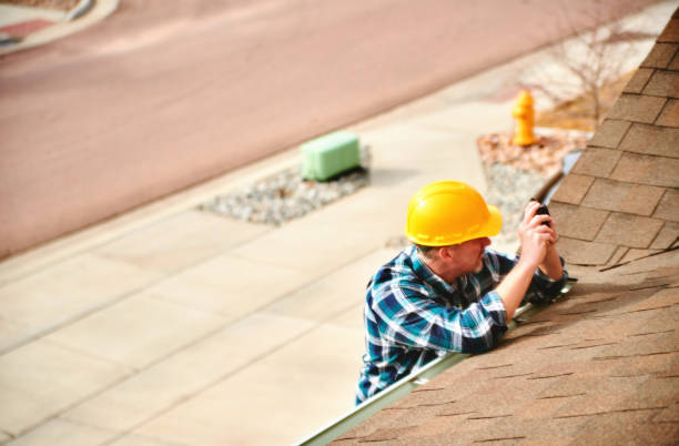 Best Roof Gutter Cleaning  in Varnville, SC